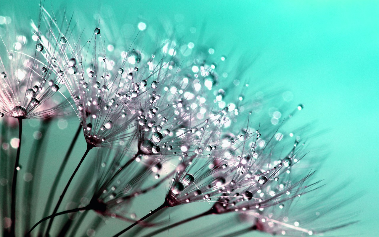 flower-green